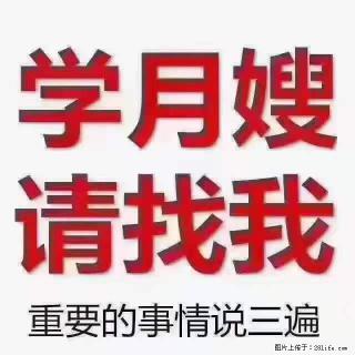 为什么要学习月嫂，育婴师？ - 平顶山28生活网 pds.28life.com