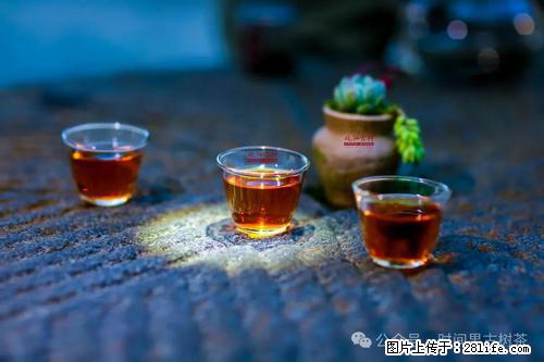 时间果百年古树2025年春红茶 - 购物交流 - 平顶山生活社区 - 平顶山28生活网 pds.28life.com