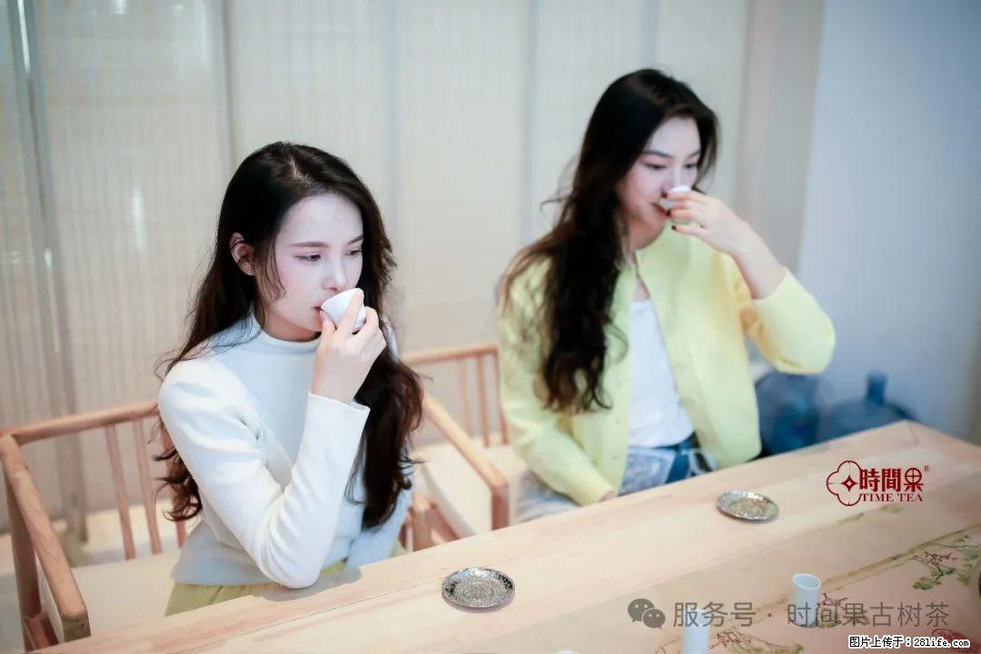 时间果百年古树龙珠普洱生茶 - 购物交流 - 平顶山生活社区 - 平顶山28生活网 pds.28life.com