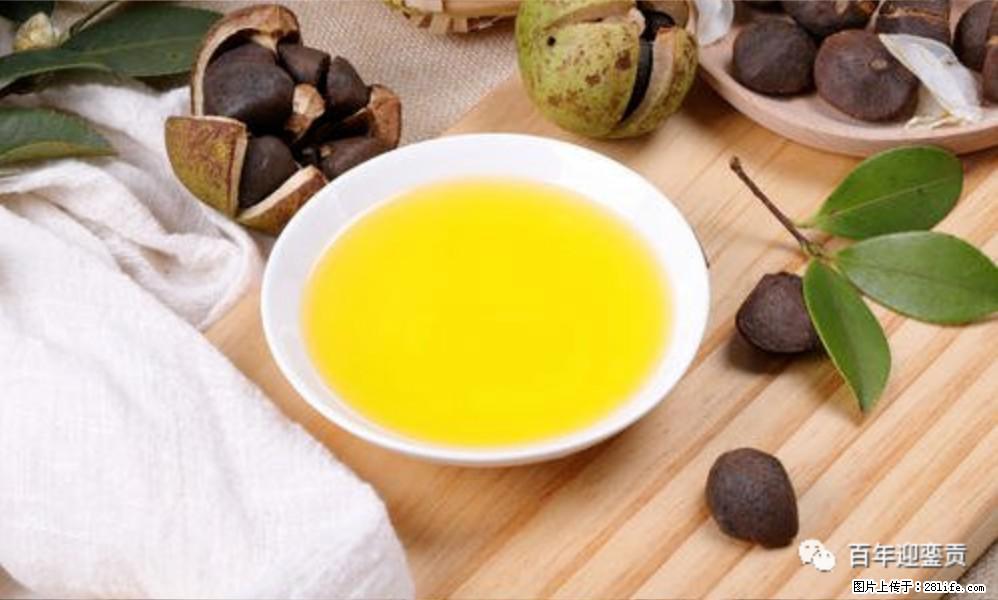 揭秘茶油的5大核心营养成分！被称为人体健康的“守护盾”！ - 平顶山生活资讯 - 平顶山28生活网 pds.28life.com