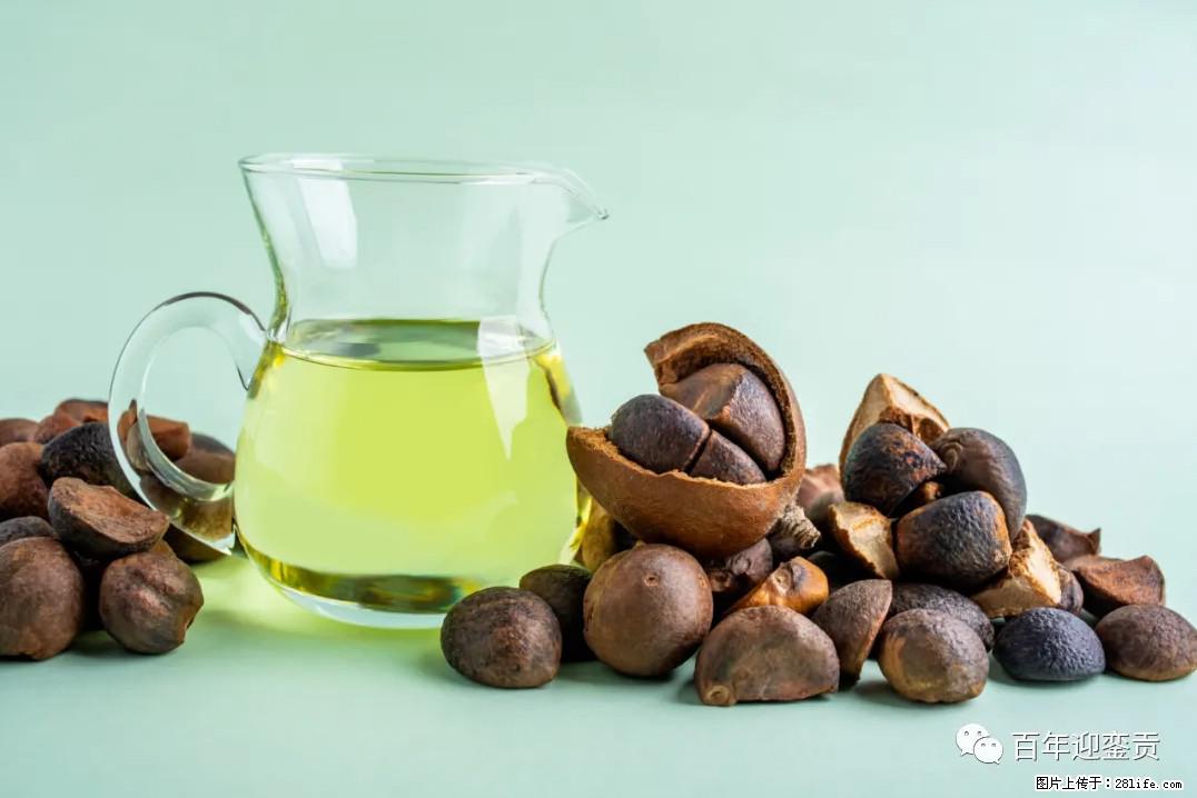 世界没有真相，只有认知，最好的食用油是中国的山茶油！ - 平顶山生活资讯 - 平顶山28生活网 pds.28life.com