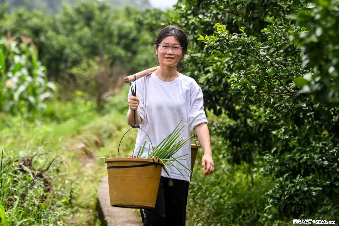 全网追的“扁担女孩”,找了一份暑假工,时薪12元 - 平顶山生活资讯 - 平顶山28生活网 pds.28life.com