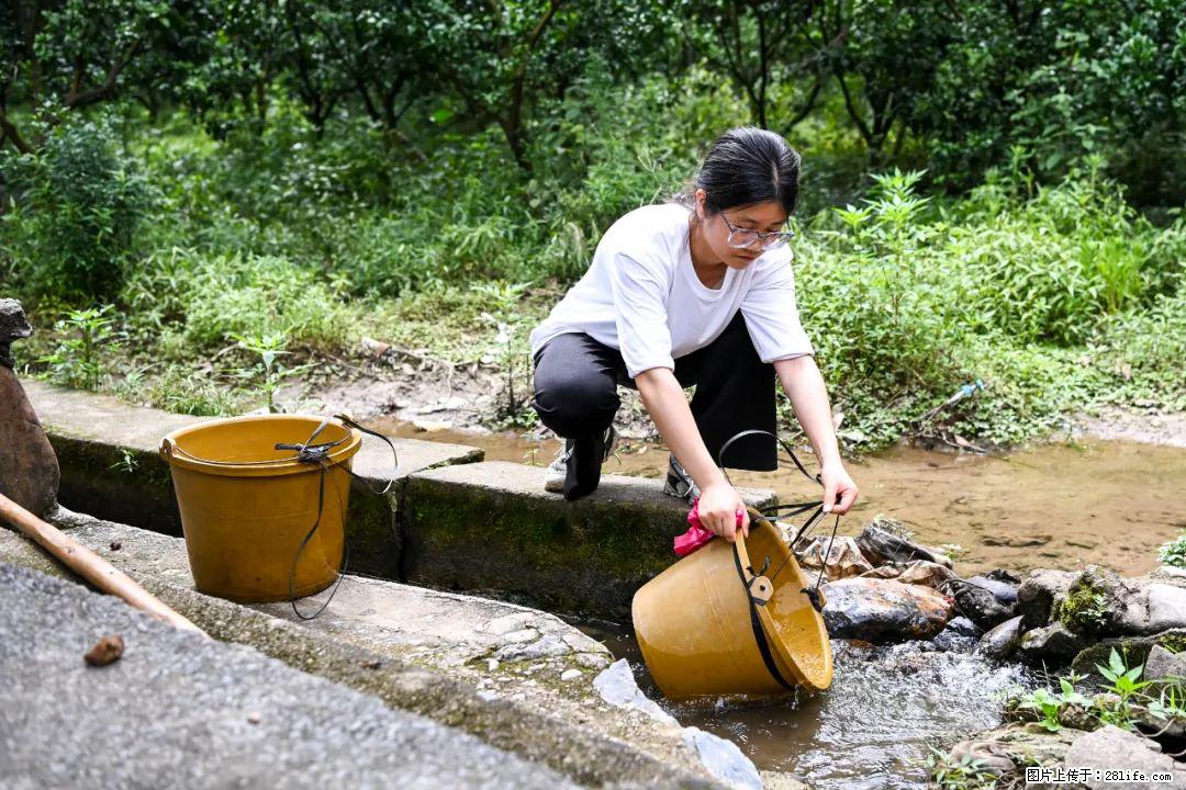 全网追的“扁担女孩”,找了一份暑假工,时薪12元 - 平顶山生活资讯 - 平顶山28生活网 pds.28life.com
