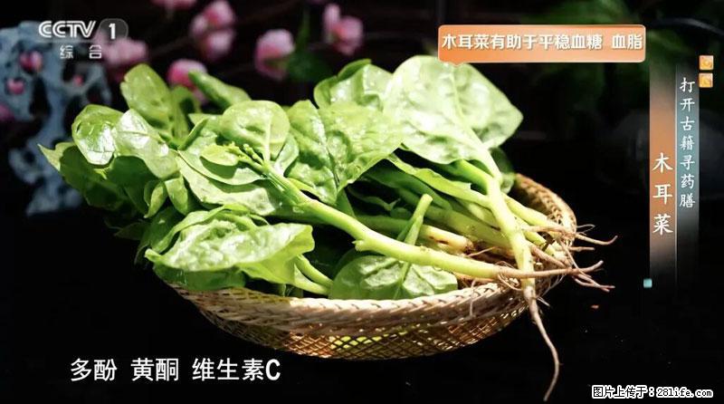 比牛奶补钙还厉害!凉血解毒、稳血糖...这菜冬天必吃,很多人却当草 - 平顶山生活资讯 - 平顶山28生活网 pds.28life.com