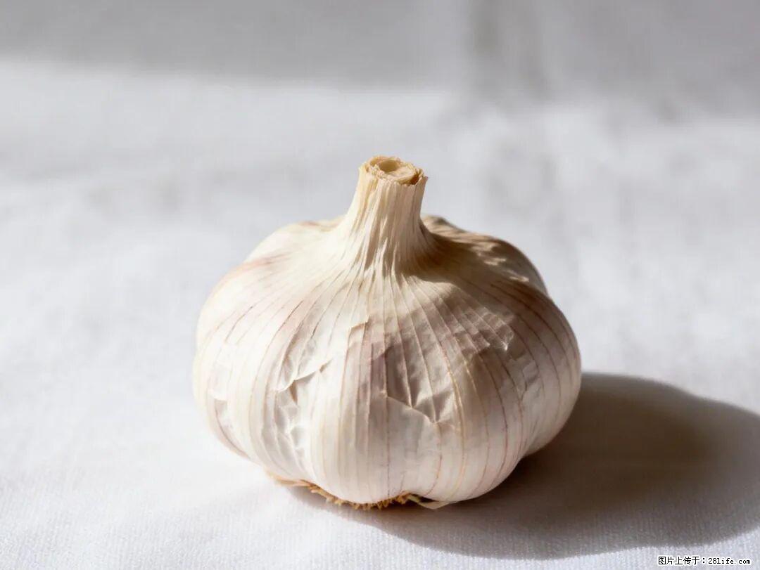 关于大蒜,除了“天然抗生素”,这4个谣言更该警惕! - 平顶山生活资讯 - 平顶山28生活网 pds.28life.com