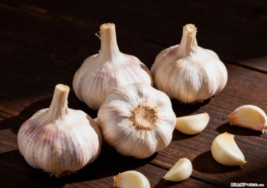 关于大蒜,除了“天然抗生素”,这4个谣言更该警惕! - 平顶山生活资讯 - 平顶山28生活网 pds.28life.com