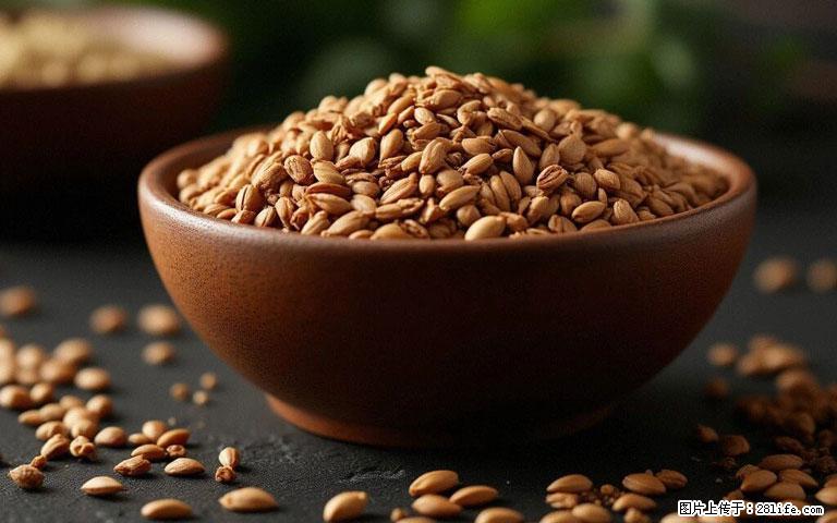 这三苦是三高“克星”,心血管干净不易堵!每天吃一点,指标慢慢降下来~ - 平顶山生活资讯 - 平顶山28生活网 pds.28life.com