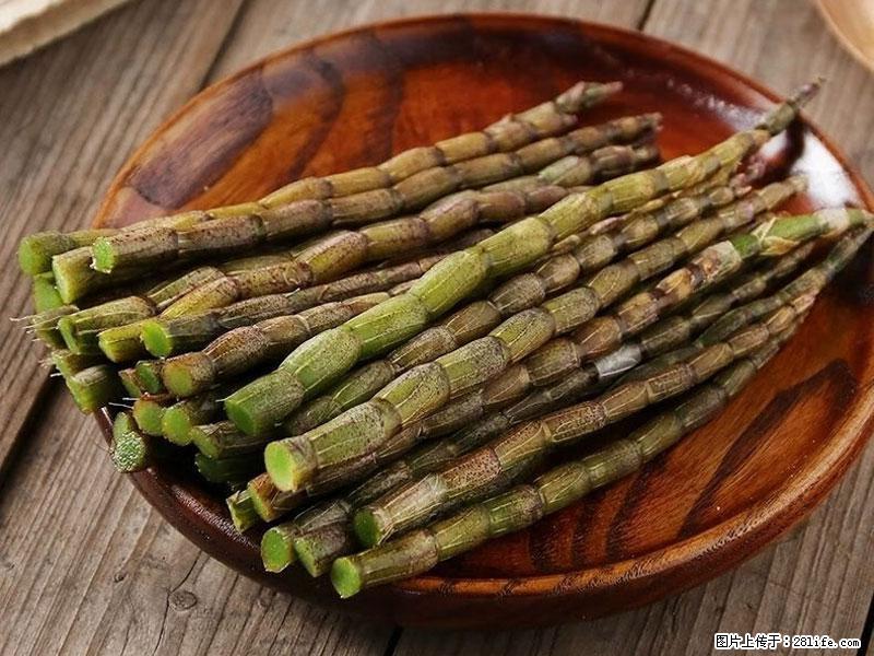 铁皮石斛的作用与功能主治 - 平顶山生活资讯 - 平顶山28生活网 pds.28life.com